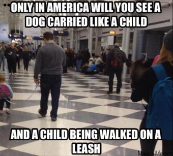 kids-on-leashes-funny